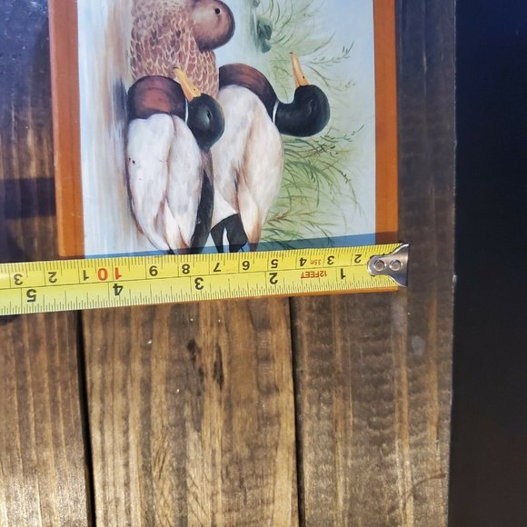 Mallard Duck Set Of 6 Cork Backed Coasters - Picture 6 of 11